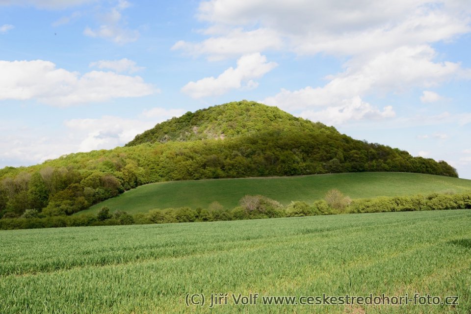 Boreč od Sutomského vrchu